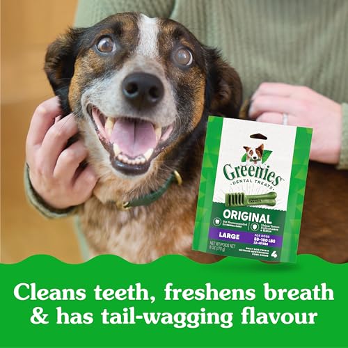 GREENIES Dog Treats Original Large Natural Dental Care, (34 Treats) 54oz. Pack image 1