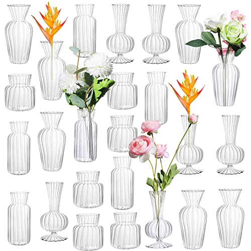 Petits vases à rayures géométriques pour sublimer une fleur unique - 2
