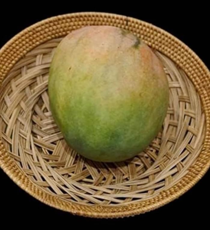 Garden Fields Wise Fla Mango plant-Grafted Variant