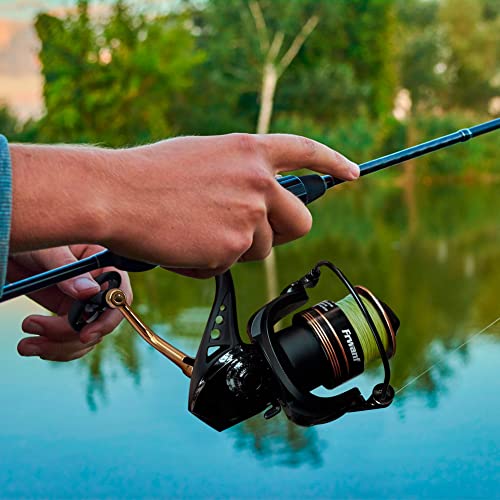 Frwanf Spinning Reel, Freshwater And Seawater Fishing Reel, Max 17.6Lb Carbon Resistance, High Speed Gear Ratio, Premium New Rolling Bearing And Drive Gear, Metal Spool And Handle, 2000-7000.… #TOP6