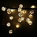 Lily's Gift 20LED Warm White Rose Flower Fairy String Lights Clear Cable Battery Powered for Valentine's, Wedding, Bedroom, Indoor Decoration