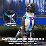 Spark Paws No Pull Hundegeschirr Grosse Hunde, Halterdesign mit Frontclip, Y Geschirr Hund, Robust und Strapazierfähig Harness für Große und Starke Rassen - 90s Retro, L