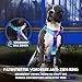 Spark Paws No Pull Hundegeschirr Grosse Hunde, Halterdesign mit Frontclip, Y Geschirr Hund, Robust und Strapazierfähig Harness für Große und Starke Rassen - 90s Retro, L