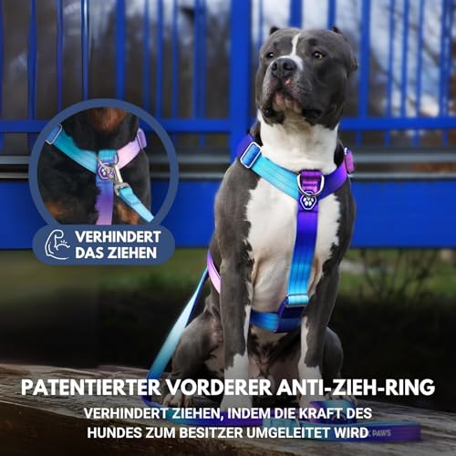 Spark Paws No Pull Hundegeschirr Grosse Hunde, Halterdesign mit Frontclip, Y Geschirr Hund, Robust und Strapazierfähig Harness für Große und Starke Rassen - 90s Retro, L