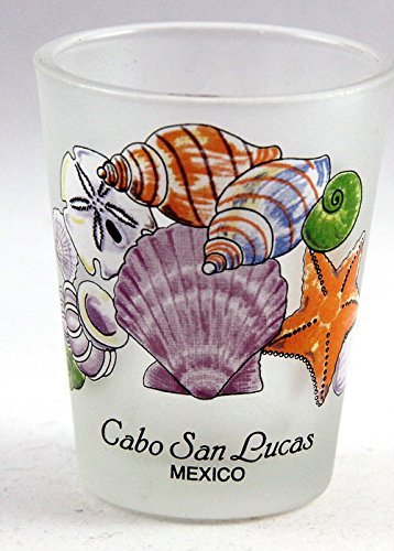 Cabo San Lucas Mexico Sea Shells Shot Glass #TOP4