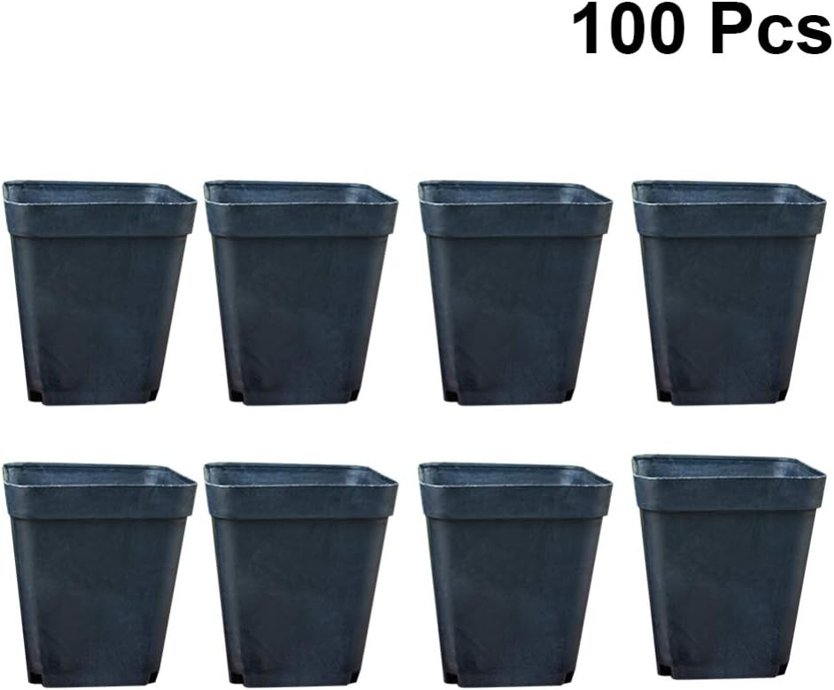 piastra per vaso per piante