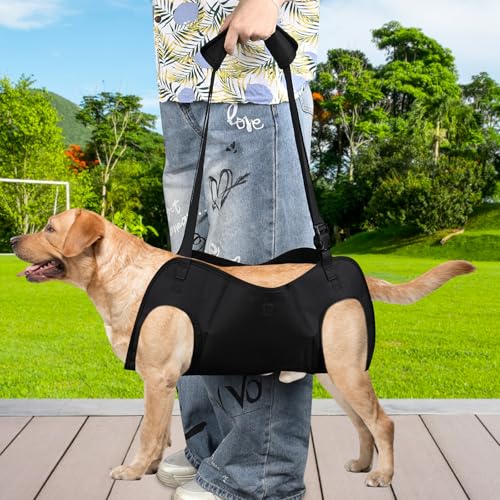Trendecor Tragehilfe Hund, Verstellbare Hunde Tragehilfe Hundeliftgeschirr mit Griffen Sicherheitsunterstützung Ganzkörpergeschirr für Behinderte Verletzte oder Mittelgroße Ältere Hund M