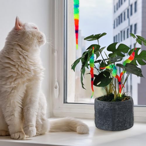 Classicseali 6 Stück Magic Twisty Worm,Interaktives Wurm Katzenspielzeug,Wurm Spielzeug für zum Spielen mit Katzen Jeden Alters,um Ihr Glück zu steigern,Regenbogenfarben
