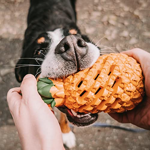 Sprenger Hundespielzeug Ananas Lernspielzeug mit Leckerlies Versteck I Kauspielzeug