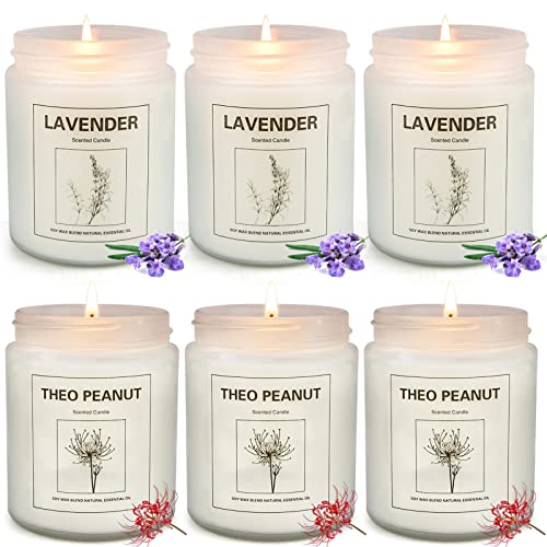 Top 10 Scented Long Lasting Candles of 2022 Katynel