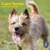 cairn terrier prix bébé Baker and Bray honore son engagement envers la durabilité en choisissant du papier certifié FSC, des encres à base de soja et végétales, un flux de travail numérique et la pratique du recyclage des produits obsolètes.