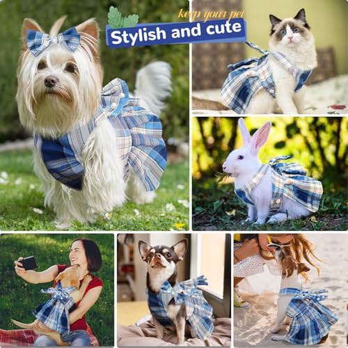 Robe bleue pour chiot Shih Tzu résolvant le problème de traction au cou