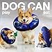 Soft Inflatable Dog Cone for After Surgery – Comfortable Donut E-Collar Alternative to Prevent Licking & Scratching – Adjustable Recovery Collar for Medium Dogs – Washable Protective Neck Pillow