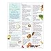 Nutrition Education Handout Tearpad | Adult Healthy Eating from Head to Toe Handouts | 8 1/2