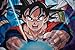 Herding Dragon Ball Super - Juego de Cama (Funda nórdica de 135...
