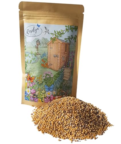 Roselyn Seeds Green Manure Seed Mixture | Fast Growing Cover Crop Boosts Nitrogen & Soil Health | Ideal for Vegetable Patch or Allotment | Mustard Crimson Clover & Phacelia | 100 g - 20 m