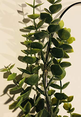 Designs By Dh Metal Hoop Wreath Shabby Chic Eucalyptus Succulent Green Simple Wedding Baby Nursery Rustic Farmhouse Scandinavian Home Decor (Large - 12") #TOP2