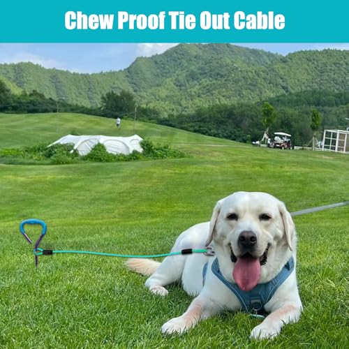 LUFFWELL Dog Leash Extension Attachment 2 Pack,2FT Chew Proof Dog Lead with No Tangle Clip, Dual Dog Leashes Extension Attachment for Collar&Harness Great for 2 Dogs Running, Walking(Ice Blue)
