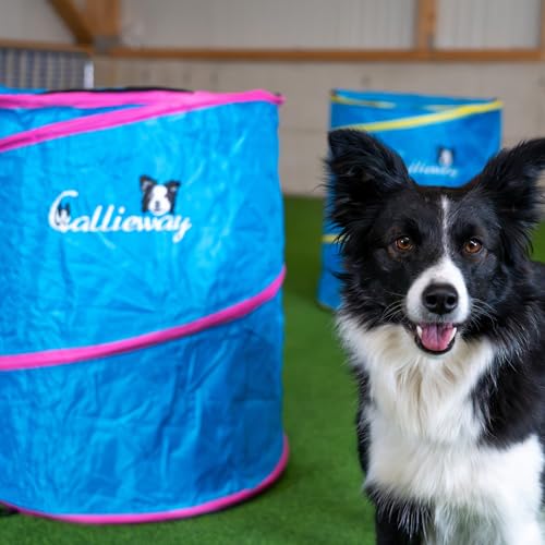 Callieway Hoopers Agility Barrel – Tonne/Fass für Hundetraining (Doppelpack, Blau) | Leicht, stabil & beschwerbar | Inkl. Transporttasche | Agility Parcours für Hunde | Blau