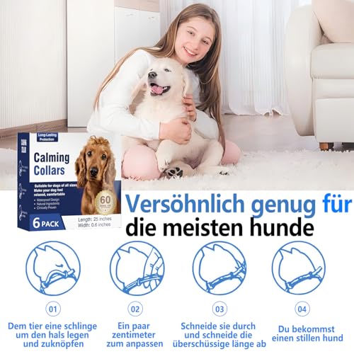 Beruhigender Kragen für Hunde,Hunde Pheromone Beruhigender Diffusor,Haustier Stopp Pissen Entlastung Angst Stress Trennung,Dauert 60 Tage,25 Zoll verstellbare Passform Alle Kleine (Grau)