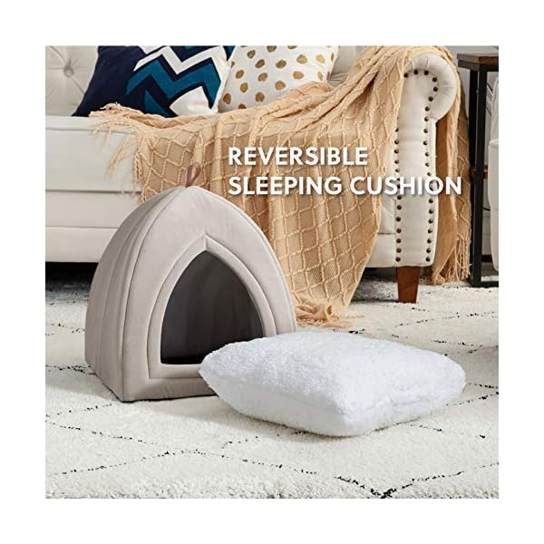 Outdoor Dog Tent Bed