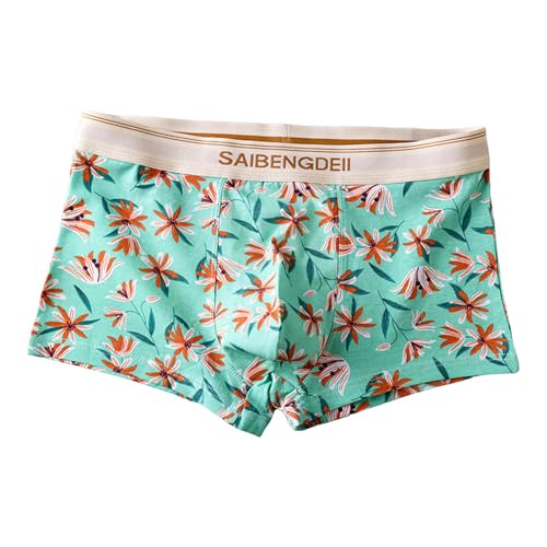 {NT[pc Y  {NT[u[t ԕ  t@bV   3D̐^ ʋCL z A_[EFA _炩 Xgb` K Ci[ pc JWA 傫TCY I[V[Y 풅 ƒ X|[c(O[