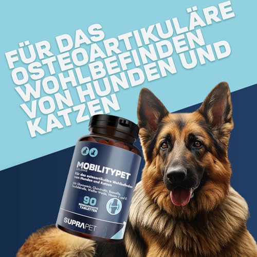 Suprapet MobilityPet für Hunde und Katzen - Unterstützung für Knochen und Gelenke - Mit Boswellia, Glucosamin, Chondroitin, MSM, Teufelskralle, Vitamin C. (90 Tabletten à 1g)
