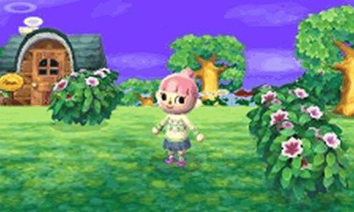 Animal Crossing: New Leaf