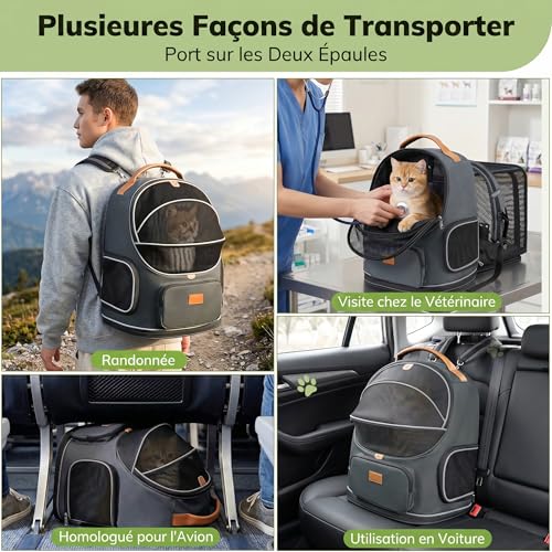 Sac à dos chat pliable Morpilot extensible avec laisse intérieure pour voyage en train