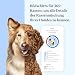 Wisdom Panel Essential – Hunde-DNA-Test für Ahnen, Rassen, Eigenschaften und Gesundheitstests