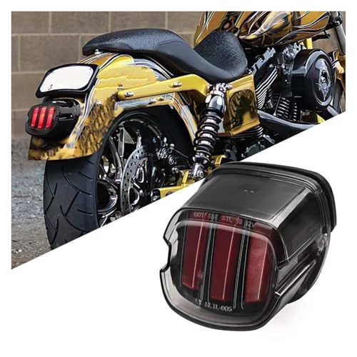 Feu arrière de frein à LED fumé ensemble phare moto FXS