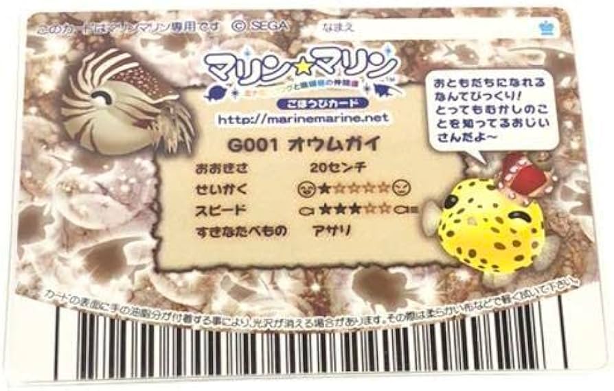 Amazon | マリンマリン カード G001 オウムガイ | アイドル・芸能人