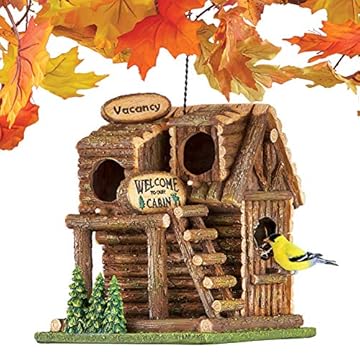 Top 5 Birdhouse Brands That Will Transform Your Backyard Experience 1 best birdhouse brands