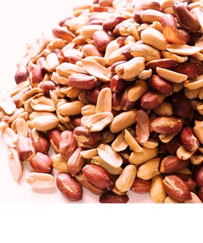 yٗpfz500g (tEiJe^J) yXVܗԐztY, XYԐ, s[ibc, Y