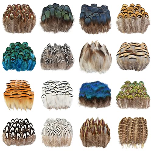 Queenbox 20Pcs Natural Peacock Feather, Pheasant Plumage For Diy Craft Costume Dream Catcher Wedding Festival, 10 #TOP7
