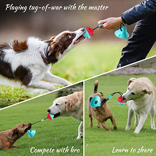 Nvted Pet Bowl And Toy Set, Slow Feeder Bowl Interactive Wobble Puppy Bowl Tumbler Design Funny Pet Food Bowl With Chew Toys For Aggressive Chewers #TOP5