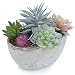 MyGift 7-Inch Assorted Artificial Succulent Plants in Rustic Textured Pulp Pot