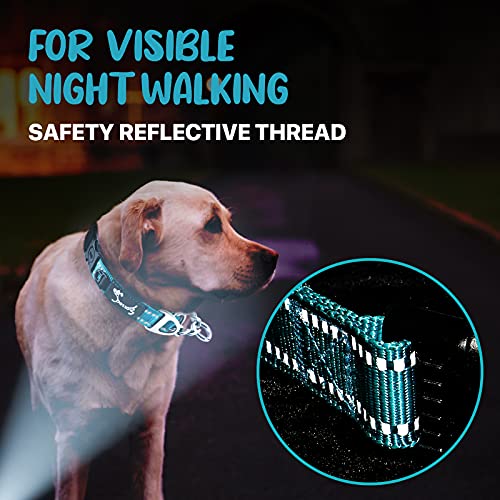PETTOM Hundehalsband Zugstopp, Halsband Hunde Martingal mit Sicherheitsschloss Verstellbar und Reflektierend für Große Mittlere und Kleine Hunde