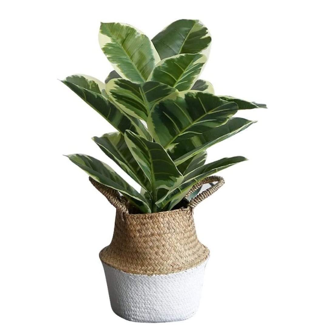 AYCDL Fake Plants Artificial Plant Greenery Plant Artificial Tree Plant Rubber Tree Indoor Bonsai Fake Trees Green Plant Home Office Decoration