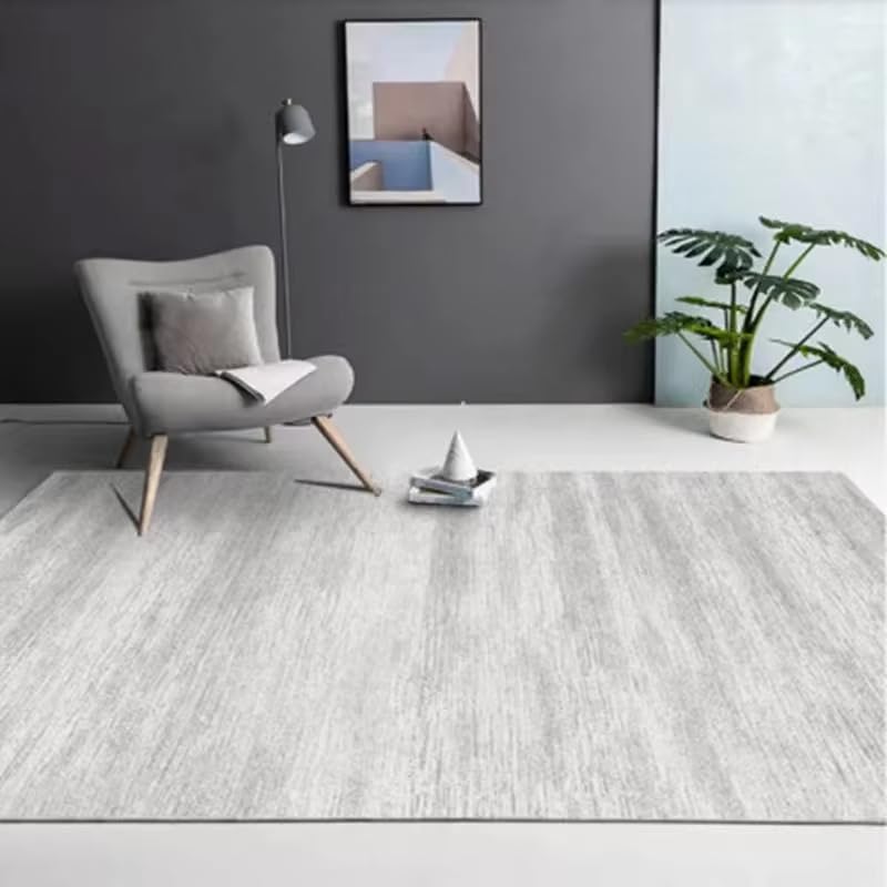Tapis gris moderne pour salon et chambre - Modèle style nordique lavable 60 x 90 cm