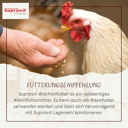 Supravit Wachtelfutter 25kg | Vollwertige Körnermischung für Wachteln, Legewachteln und Hühner als Alleinfutter | Wachtel Futter mit Hirse Glanz Perillasaat Raps Haferflocken Hafer und Leinsamen
