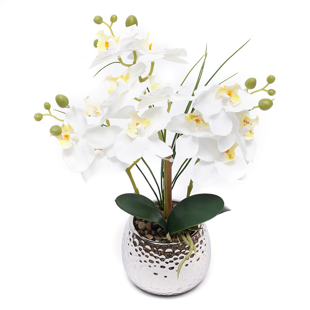 Phalaenopsis orchidée artificielle en pot de 39 cm plante décorative salon cuisine