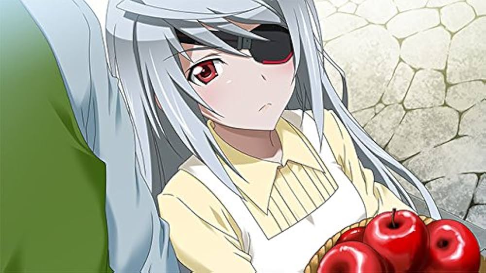 IS2 ラブ アンド パージ 限定版 (ラウラ黒猫パジャマSD