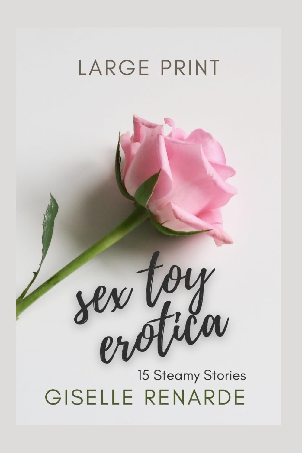 Sex Toy Erotica: 15 Steamy Stories