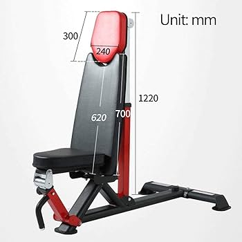 ウェイトベンチ ダンベル付き 高さ調整可能 Amazon | JX FITNESS 多機能フラットウェイトベンチ