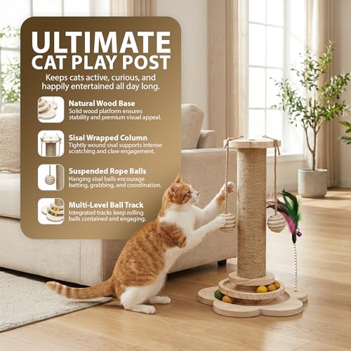 Rex & Roxy Cat Scratching Post With Natural Sisal | Sturdy Cat Scratcher For Indoor Cats | Kitten Toy With Scratching Posts, Play Platform & Toys | Easy Assembly Cat Play Post | Space Saving 45CM Tall - 4