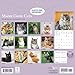 Carousel Calendars, Maine Coon Cats 2026 Wall Calendar, 12'' X 12'', 16-Month Calendar with Stapled Binding