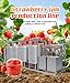 Industrial Strawberry Jam and Puree Processing Line, Professional Equipment for Cooking, Sterilizing, Homogenizing, and Packaging Jam, Featuring Advanced Technology, Customizable