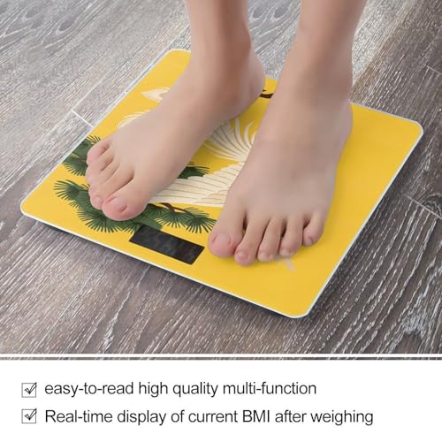 Báscula Digital para Cuerpo Con Pantalla LCD Grande miniatura 5