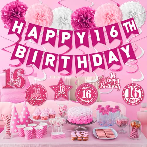 Image of Pink Sweet 16 Birthday Decorations Girls Sweet 16 Birthday Banner & Hanging Swirls Tissue Pompoms for Girls 16 Years Old Party Supplies